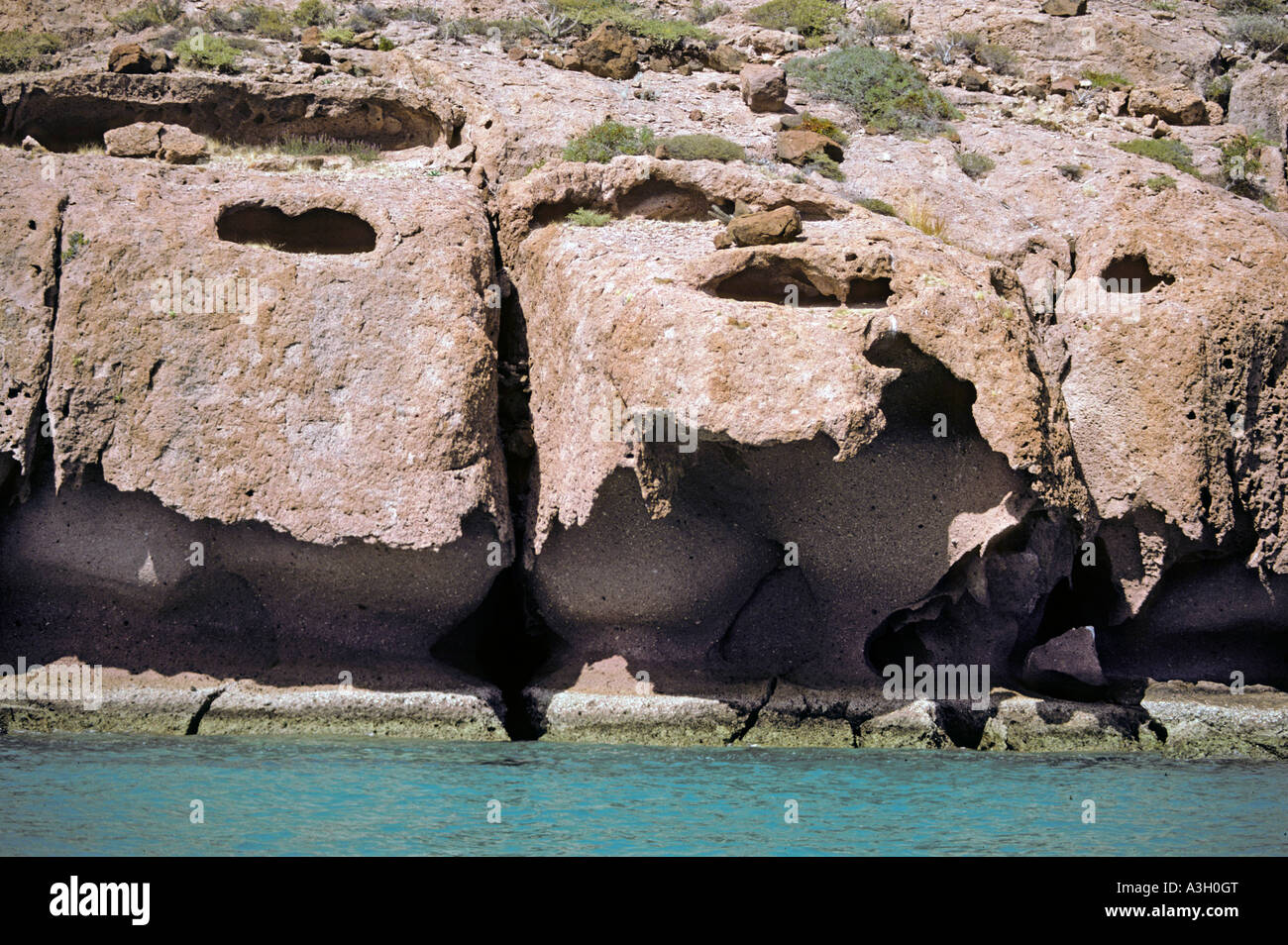 Seeabnutzung Isla Partida Baja California Mexiko Stockfoto