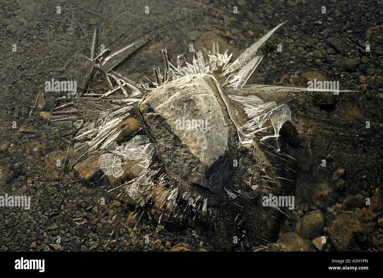 Frazil faserige Eis Bylot Insel Arktis Stockfoto