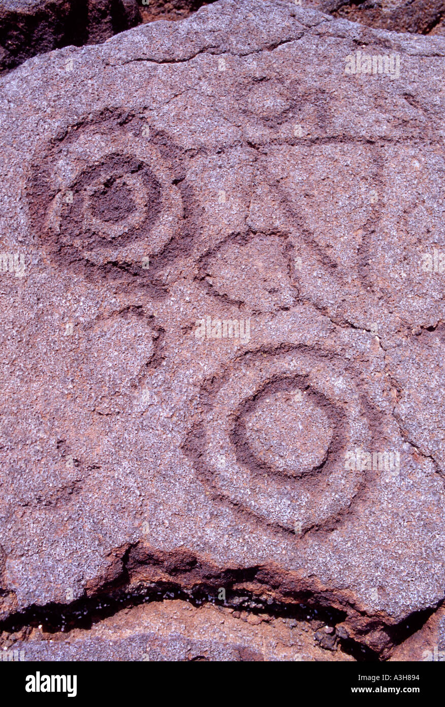 Petroglyphen in Lava eingeschrieben, Waikoloa Petroglyph Feld Mamalahoa oder King s Trail Kohala Hawaii Big Island Hawaii USA Stockfoto