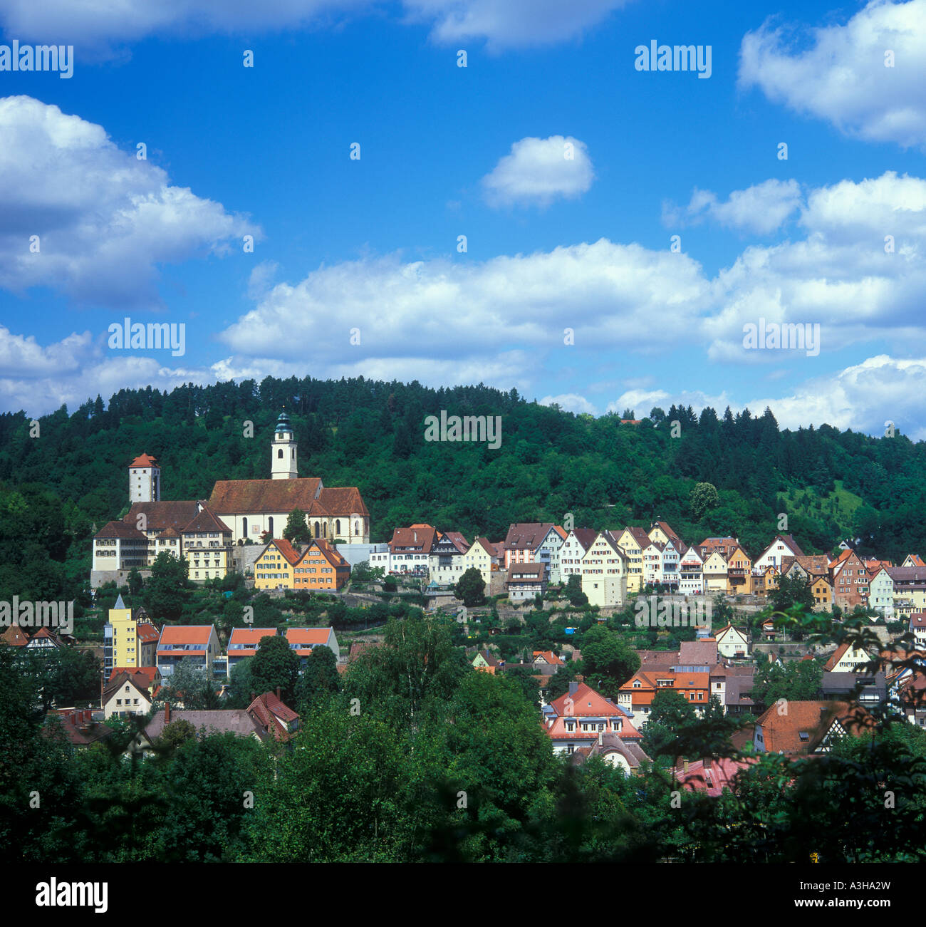 Panoramablick auf die alte Stadt Horb am Neckar in den Bergen des Schwarzwaldes in Deutschland Stockfoto