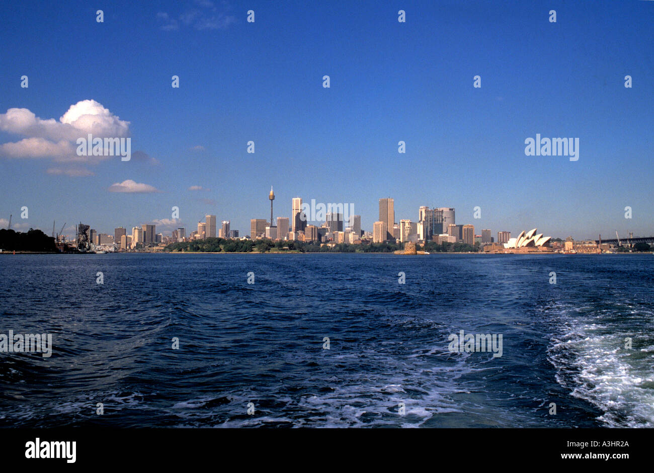 Skyline Stadt Sidney Australien Stockfoto