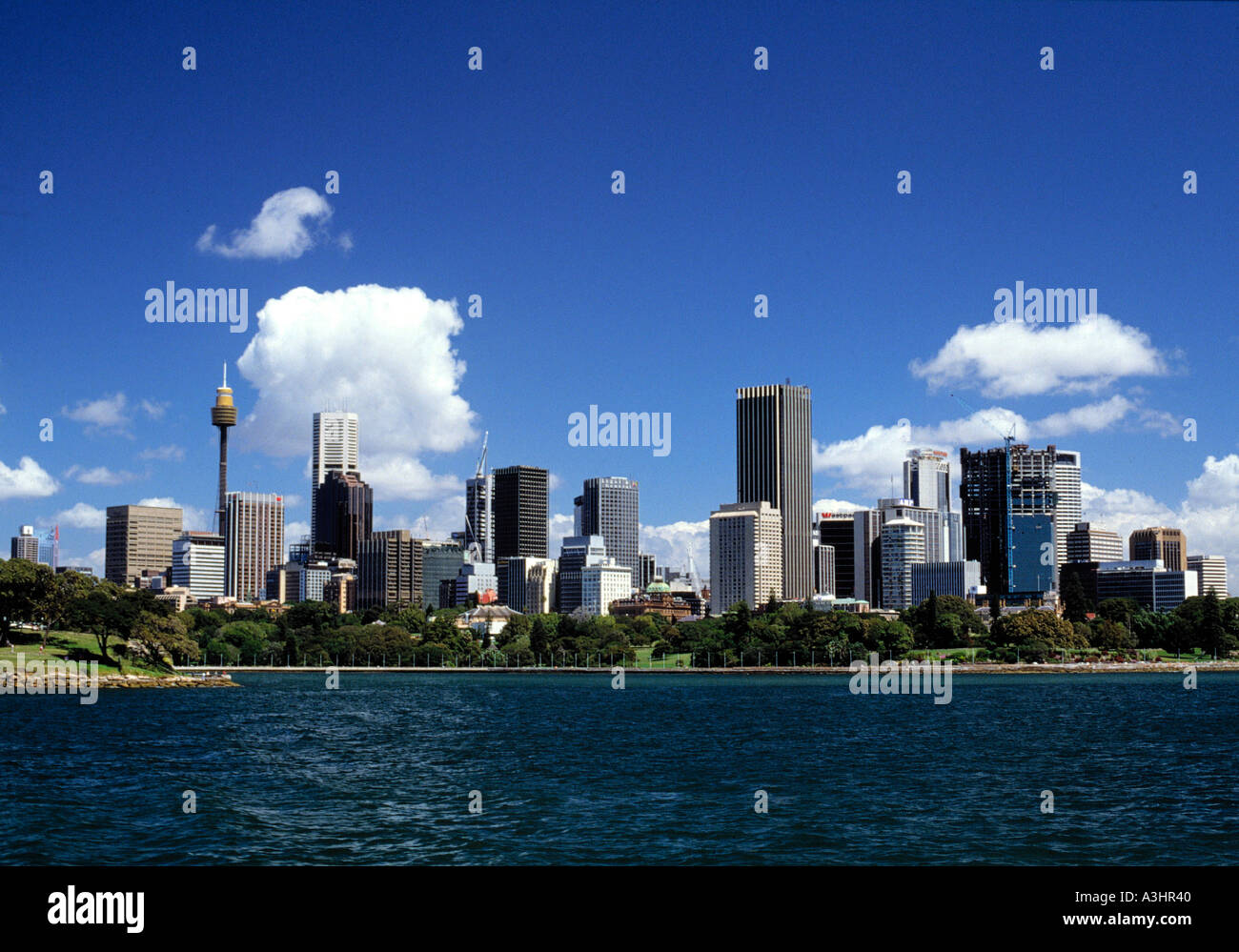 Skyline Stadt Sidney Australien Stockfoto