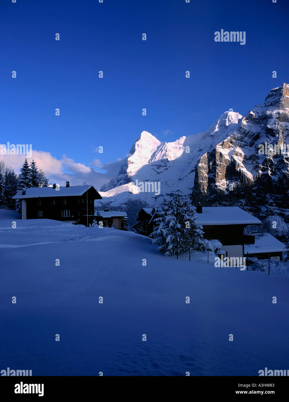 Blick vom Dorf Mürren auf Mount Eiger am Morgen Region des Berner Highlands Alpes Kanton Bern Stockfoto