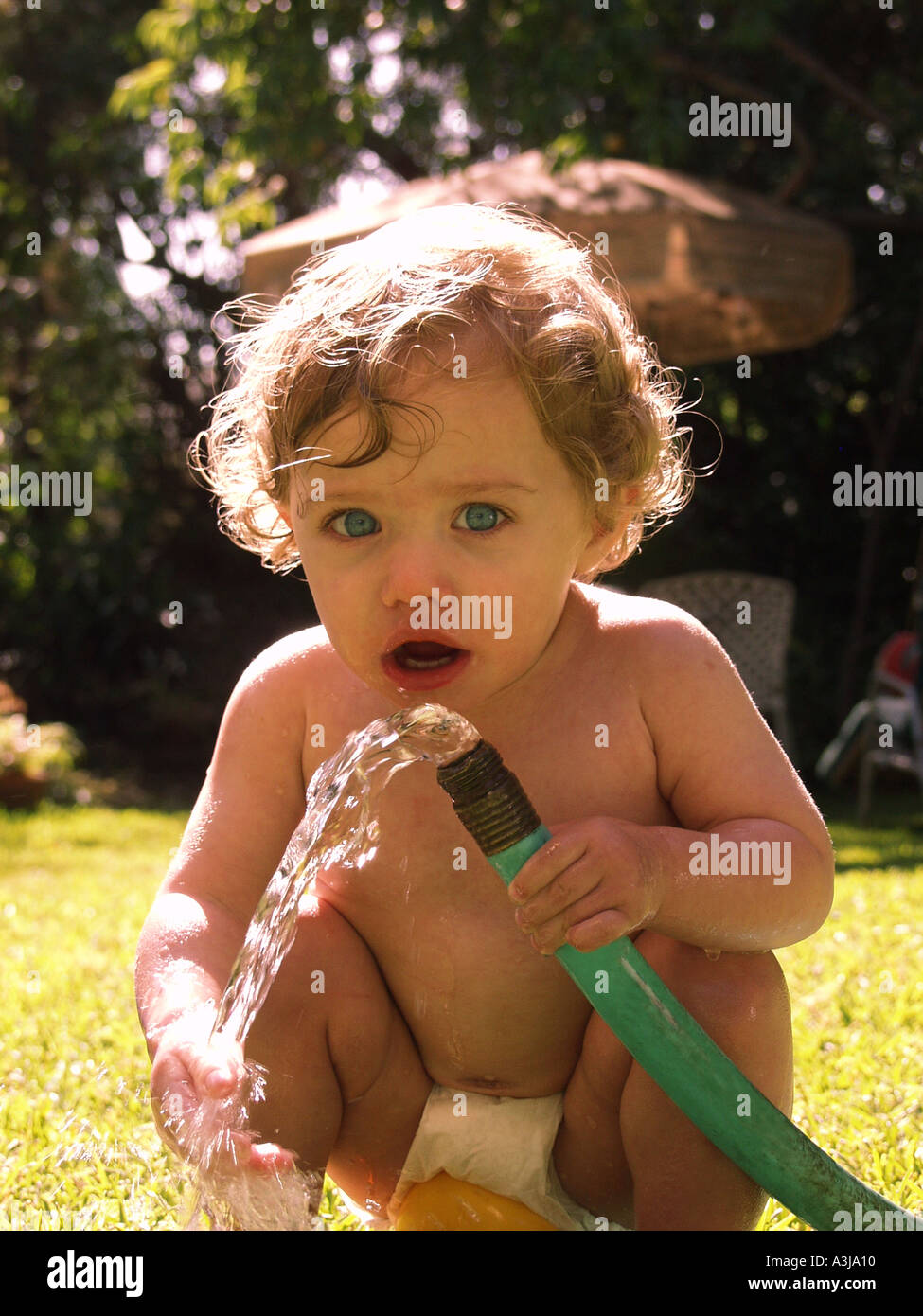 Kleine Mädchen Trinkwasser aus einem Gartenschlauch im Hinterhof Stockfoto
