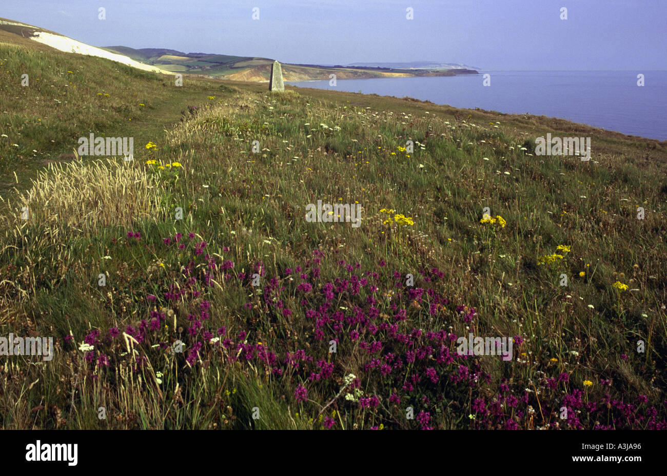 Die Coastal Pfad auf Afton unten betrachten Comton Bay und Brook Bay Isle Of Wight England UK Stockfoto