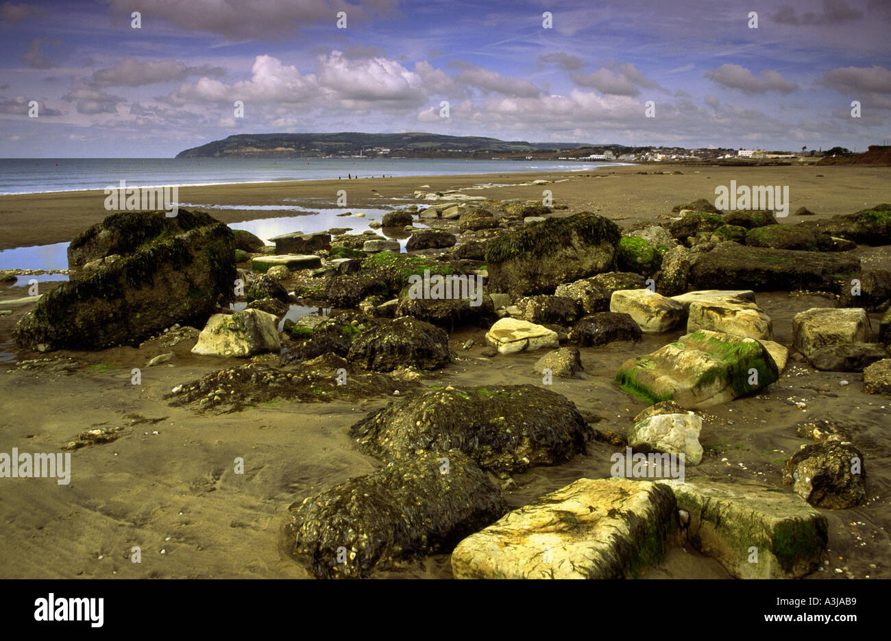 Strand-Szene bei niedrigem Wasserstand am Yaverland mit Blick auf Sandown und Shanklin Isle Of Wight England Uk Stockfoto