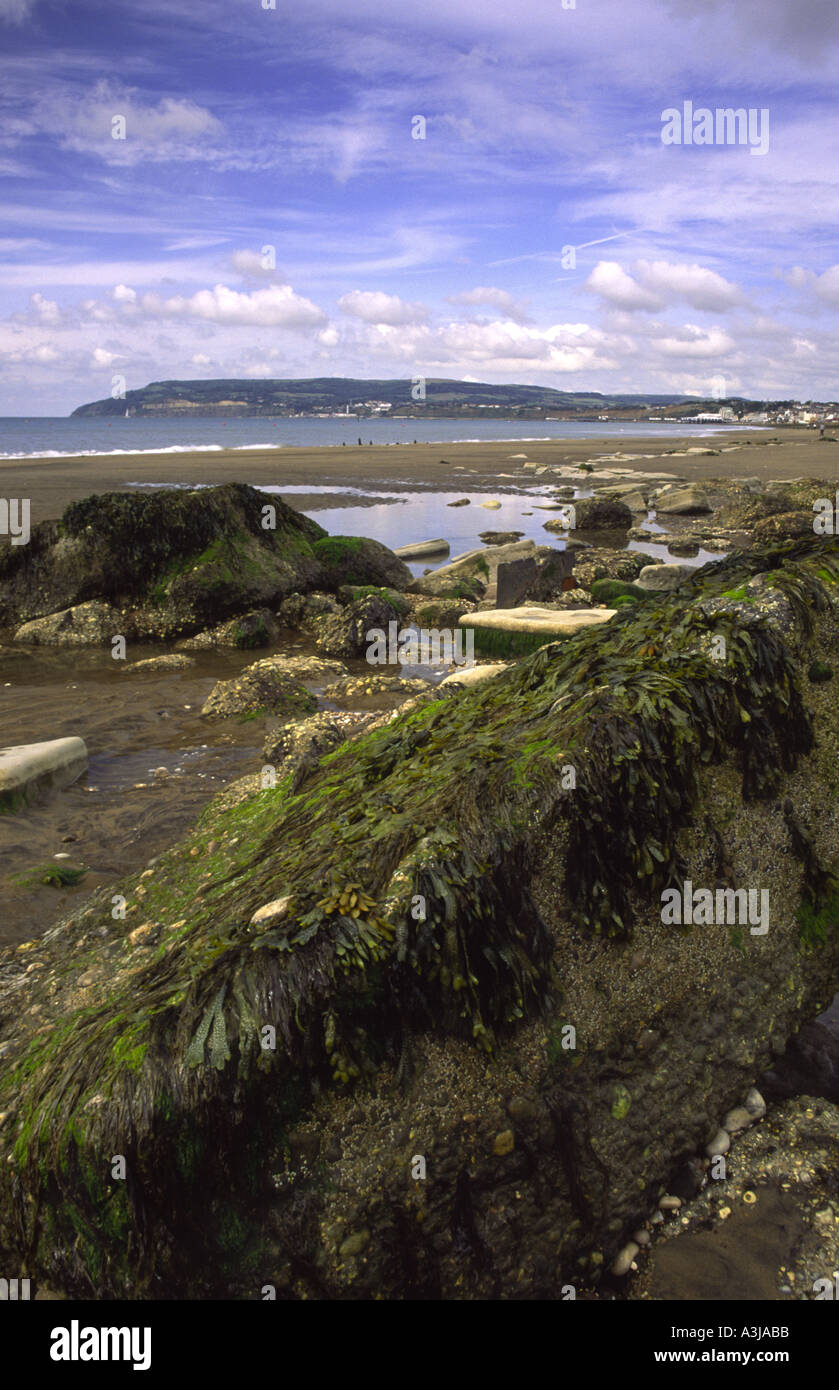 Strand-Szene bei Ebbe am Yaverland mit Blick auf Sandown und Shanklin Isle Of Wight England UK Stockfoto