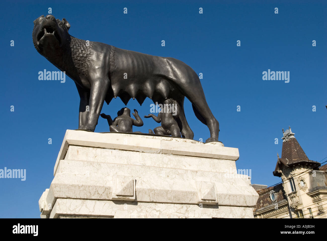 Die Kapitolinische Wölfin Bronze-Skulptur von der mythischen She-Wolf Spanferkel die Zwillinge Romulus und Remus in Piata Romana, zentrale Bukarest Rumänien Stockfoto