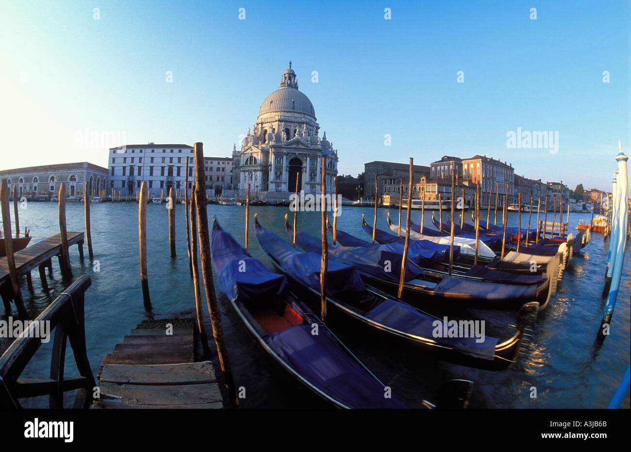 Gondeln Grand Canal Santa Maria della Salute Venedig Italien Stockfoto