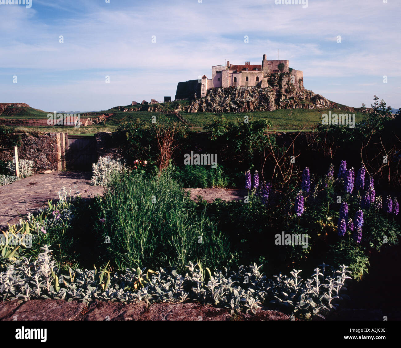 Der Schlossgarten, Holy Island, Northumberland, England Stockfoto