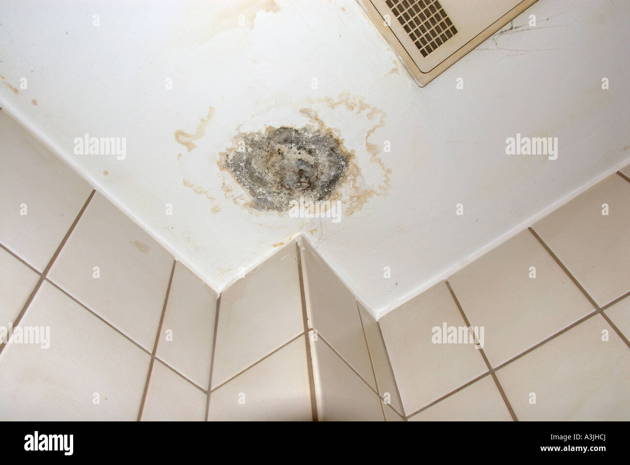 Schimmel an der Decke im Badezimmer. Stockfoto