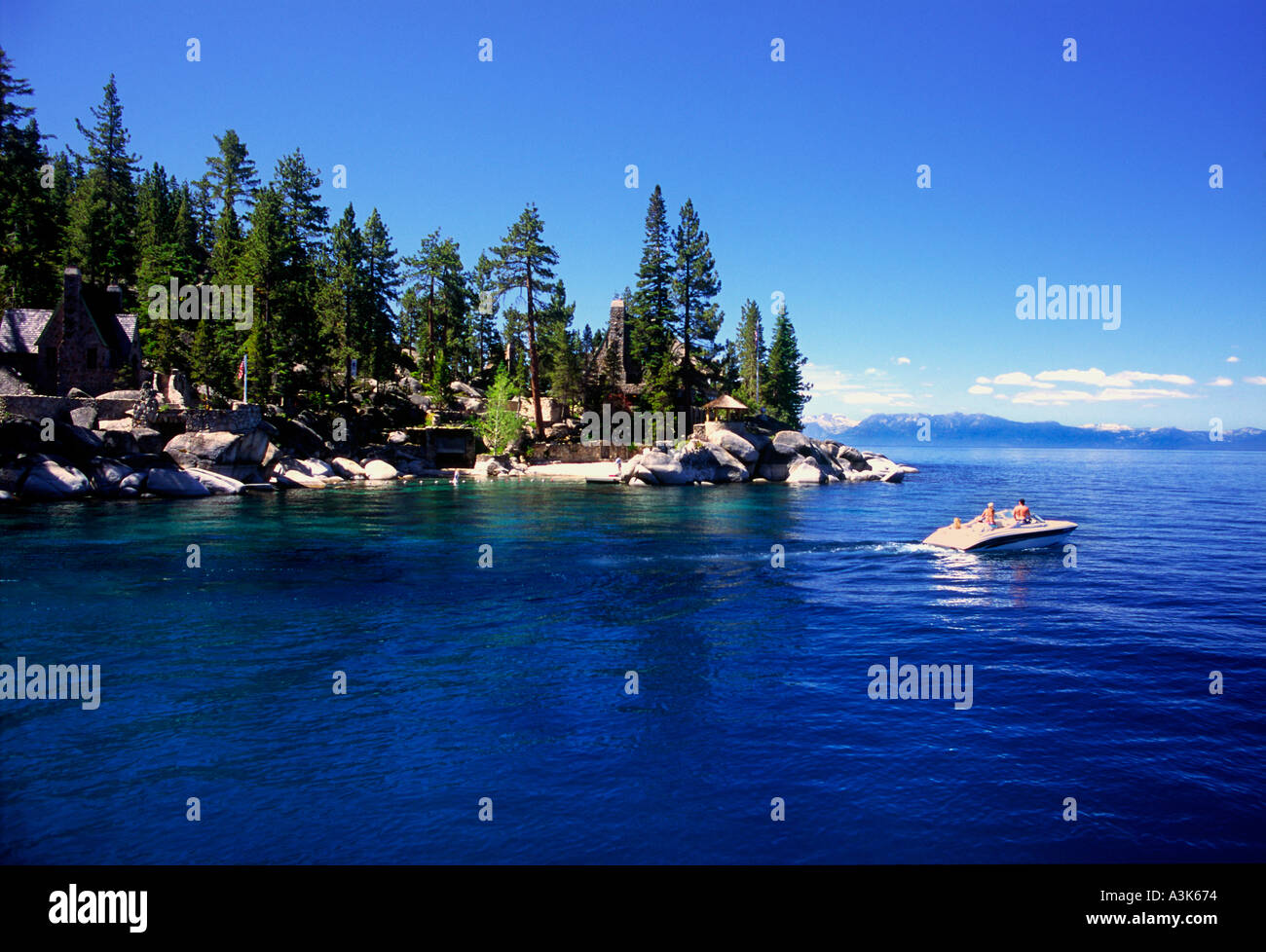 Tahoe Bäume in der Nähe von Sand Beach Lake Tahoe, Nevada Stockfoto