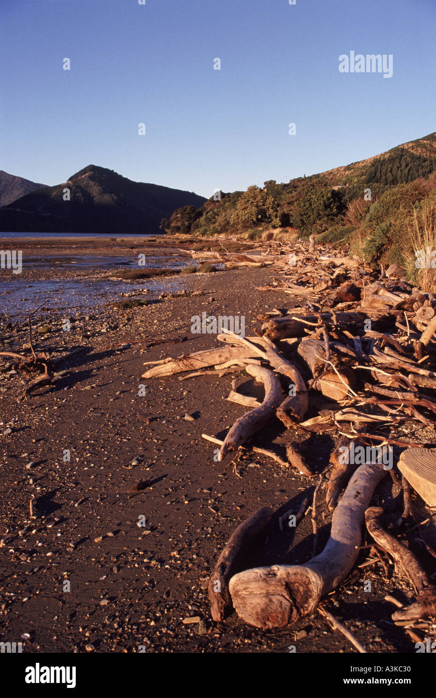 Queen Charlotte Sound. Neuseeland Stockfoto