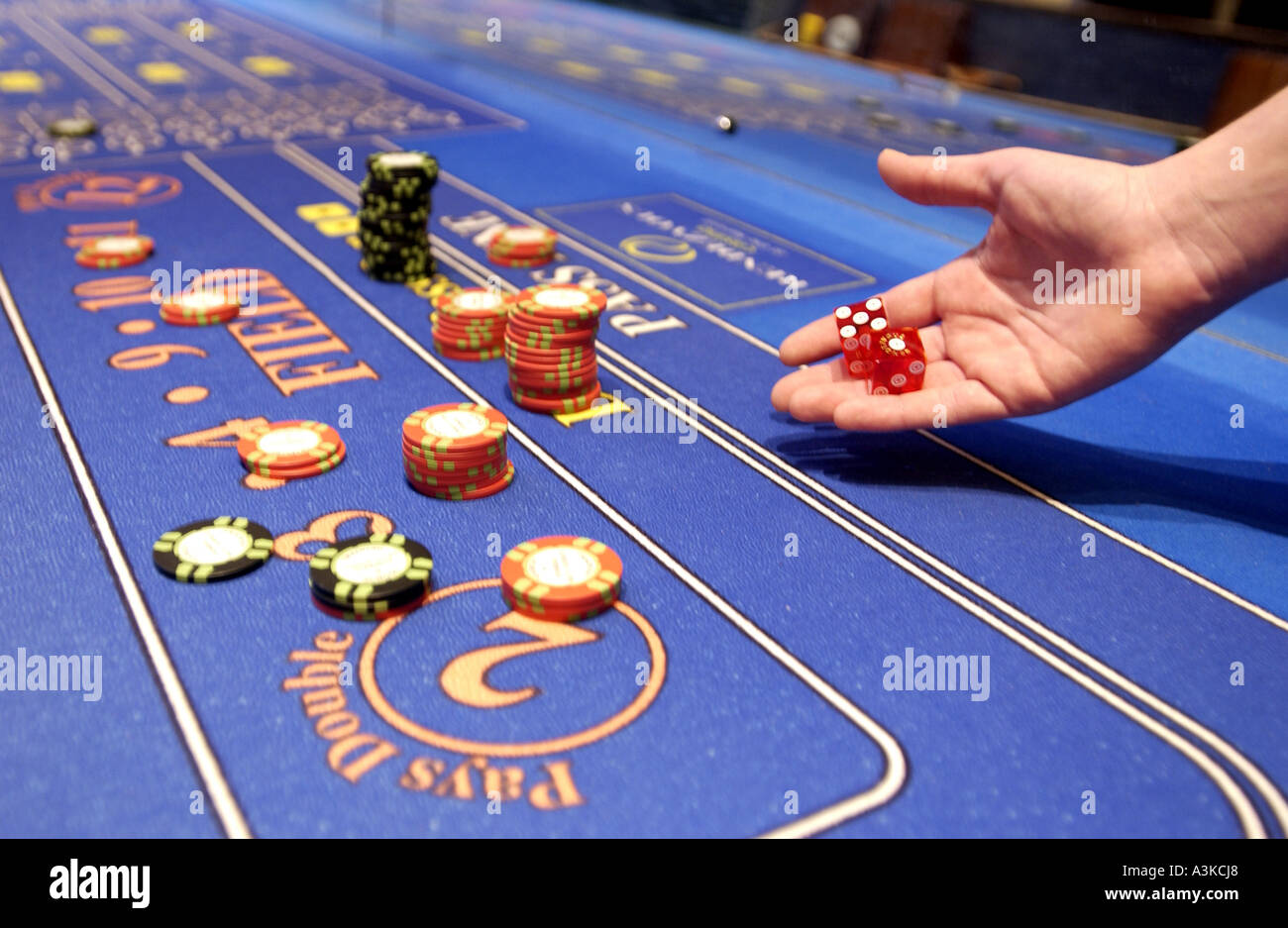 Ein Spieler würfelt auf dem Würfel-Tisch im Casino Rendezvous in Brighton Marina Village Stockfoto