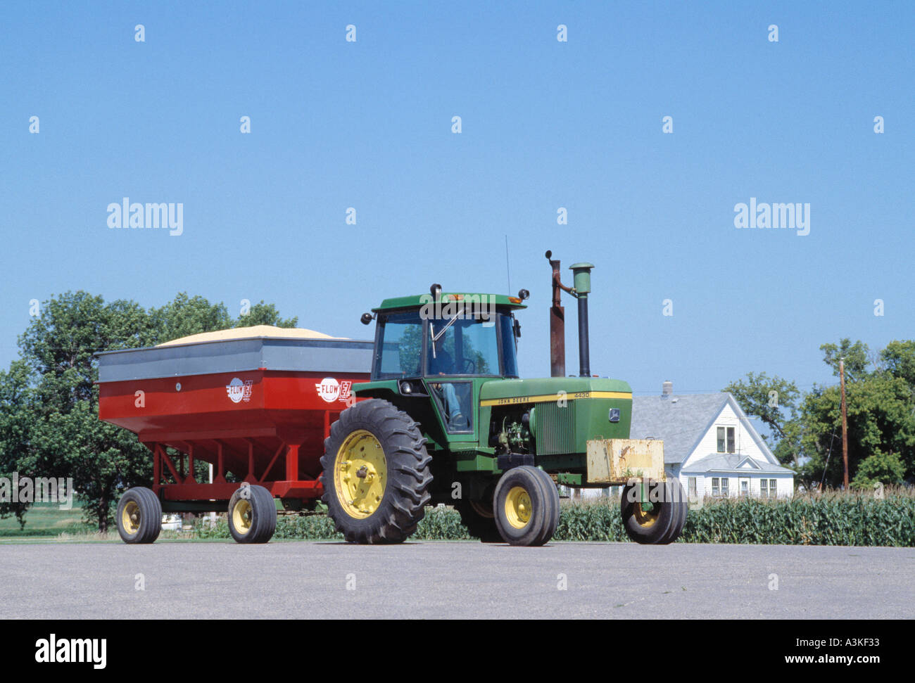 Schleppen Getreide auf den Markt Stockfoto