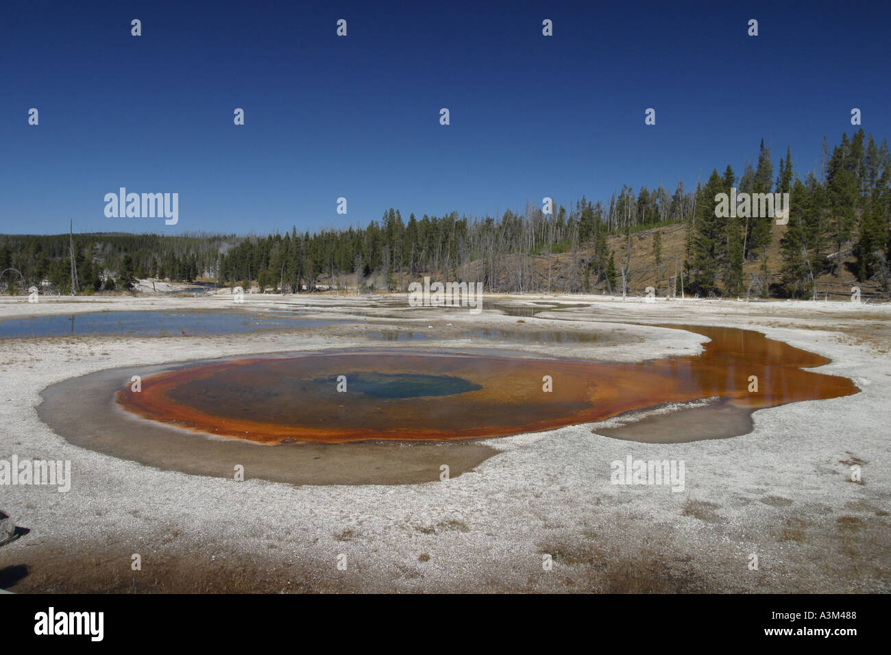 Chromatische Pool Upper Geyser Basin Yellowstone Nat Pk USA geothermische Aktivität Stockfoto
