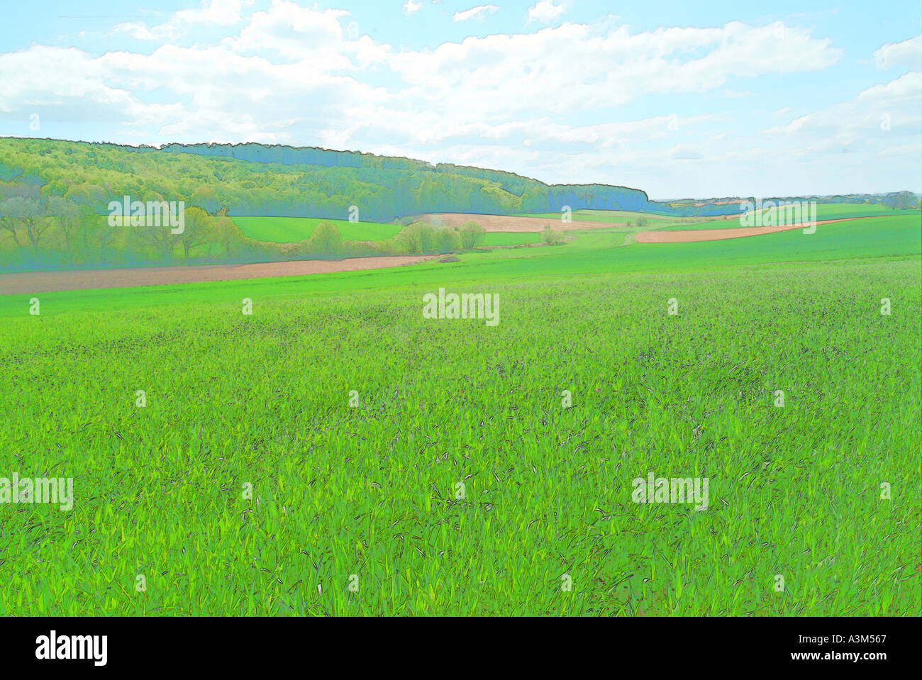Natur Kunst grüne Felder im Frühling Stockfoto