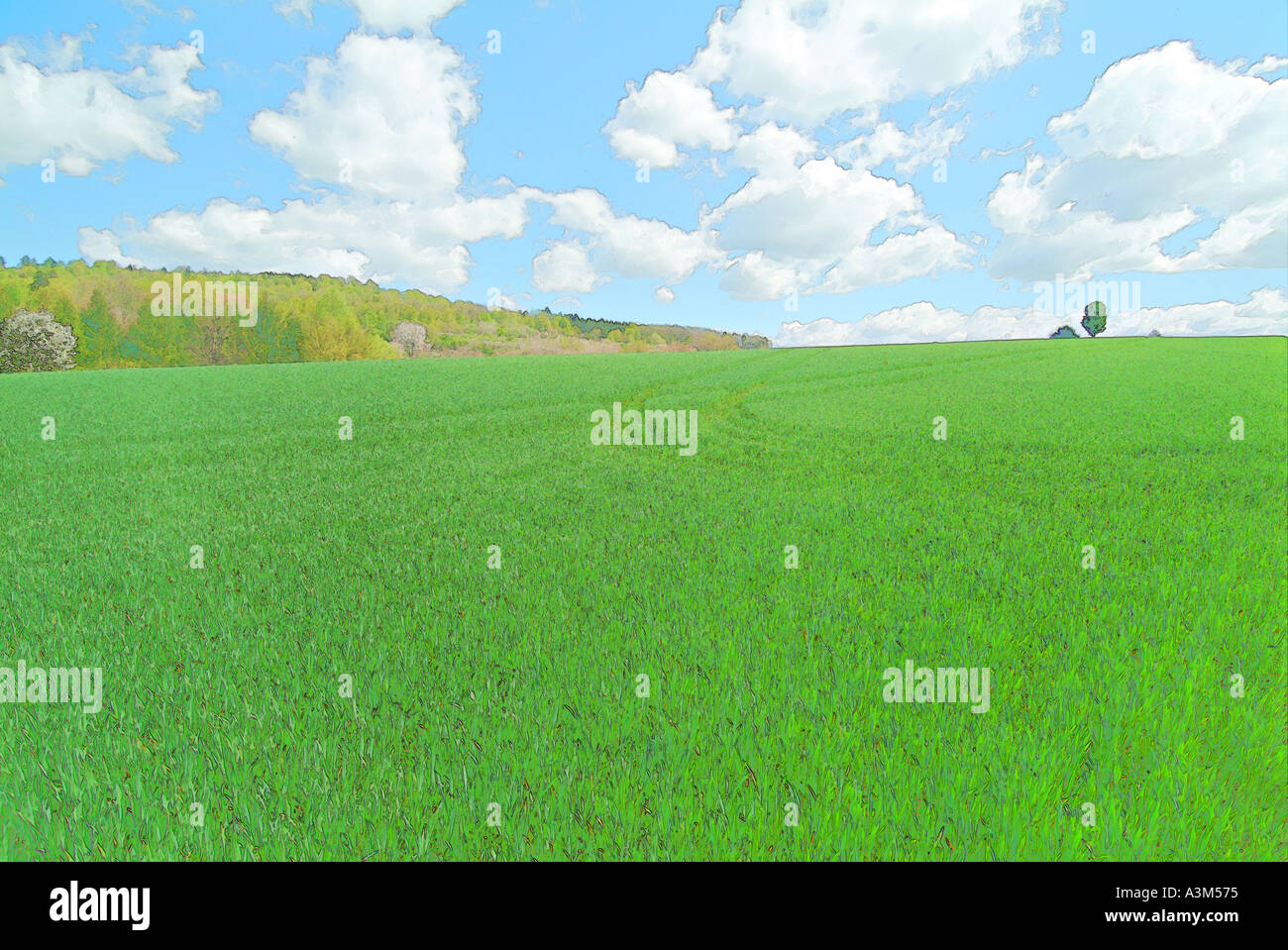 Natur Kunst grüne Felder im Frühling Stockfoto