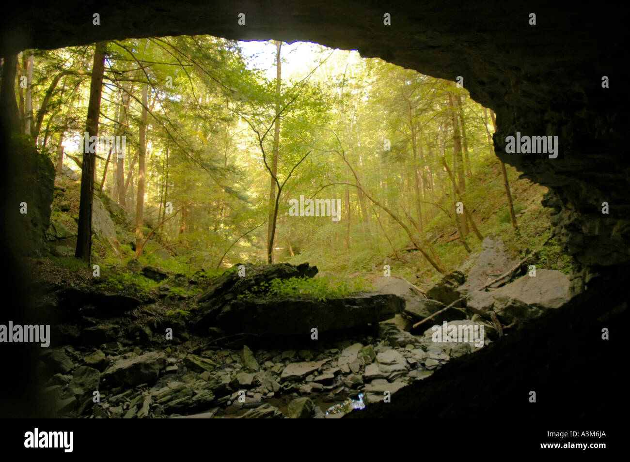 Blick eine große Höhle Eröffnung Cascade-Höhle bei Carter Höhlen Staatspark Resort in Kentucky USA Stockfoto