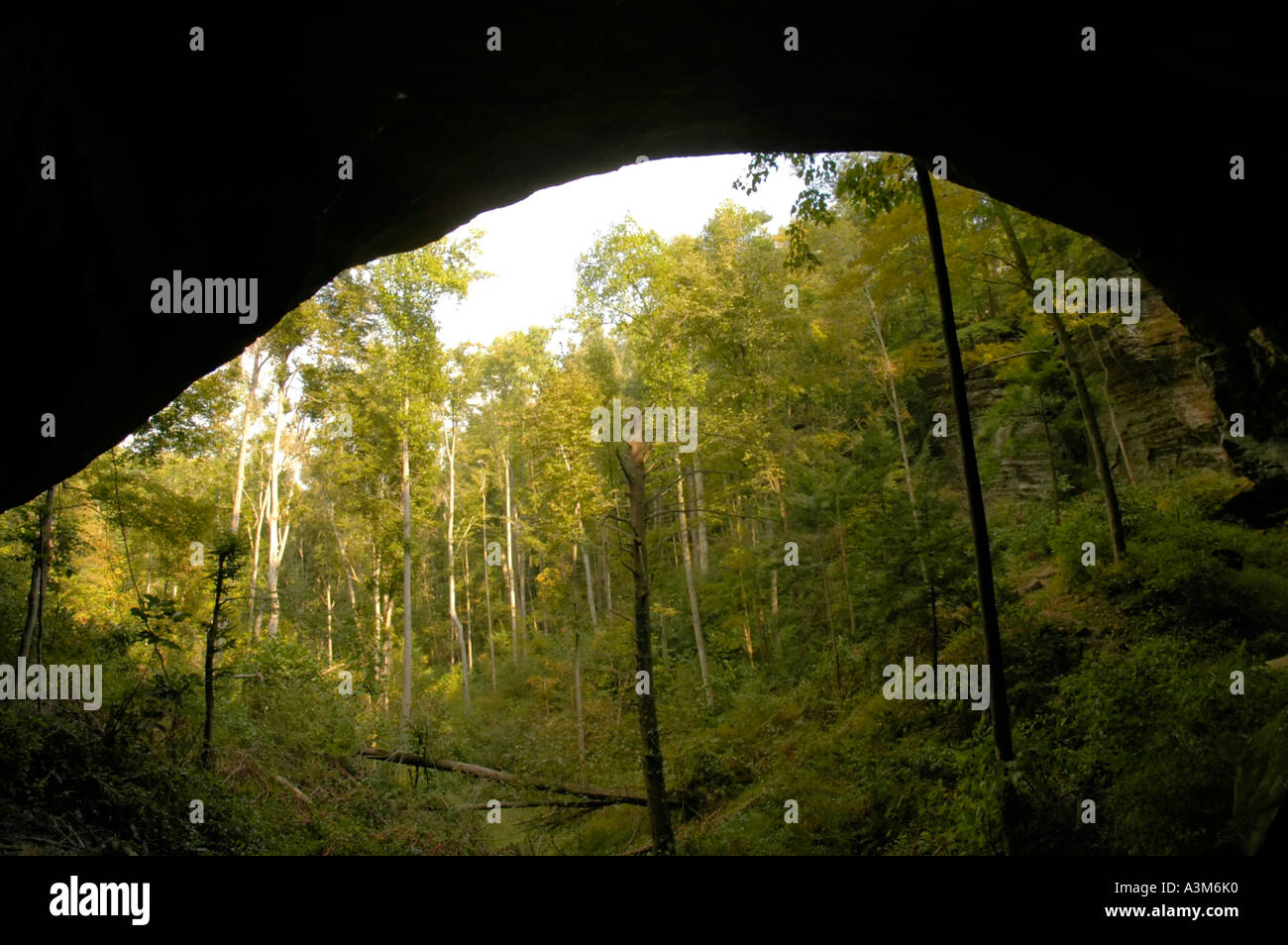 Natürlichen Steinbogen in Carter Höhlen Resort Staatspark in Kentucky USA Stockfoto