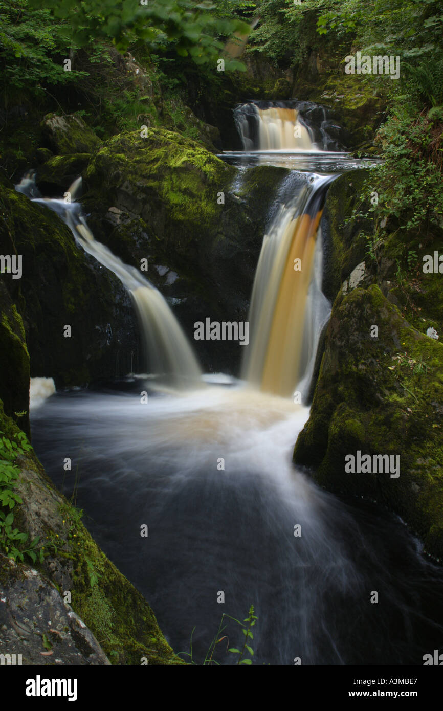 ENGLAND Yorkshire Yorkshire Dales National Park die schnell fließenden Pecca twin Falls Wasserfälle laufen durch den Wald Stockfoto