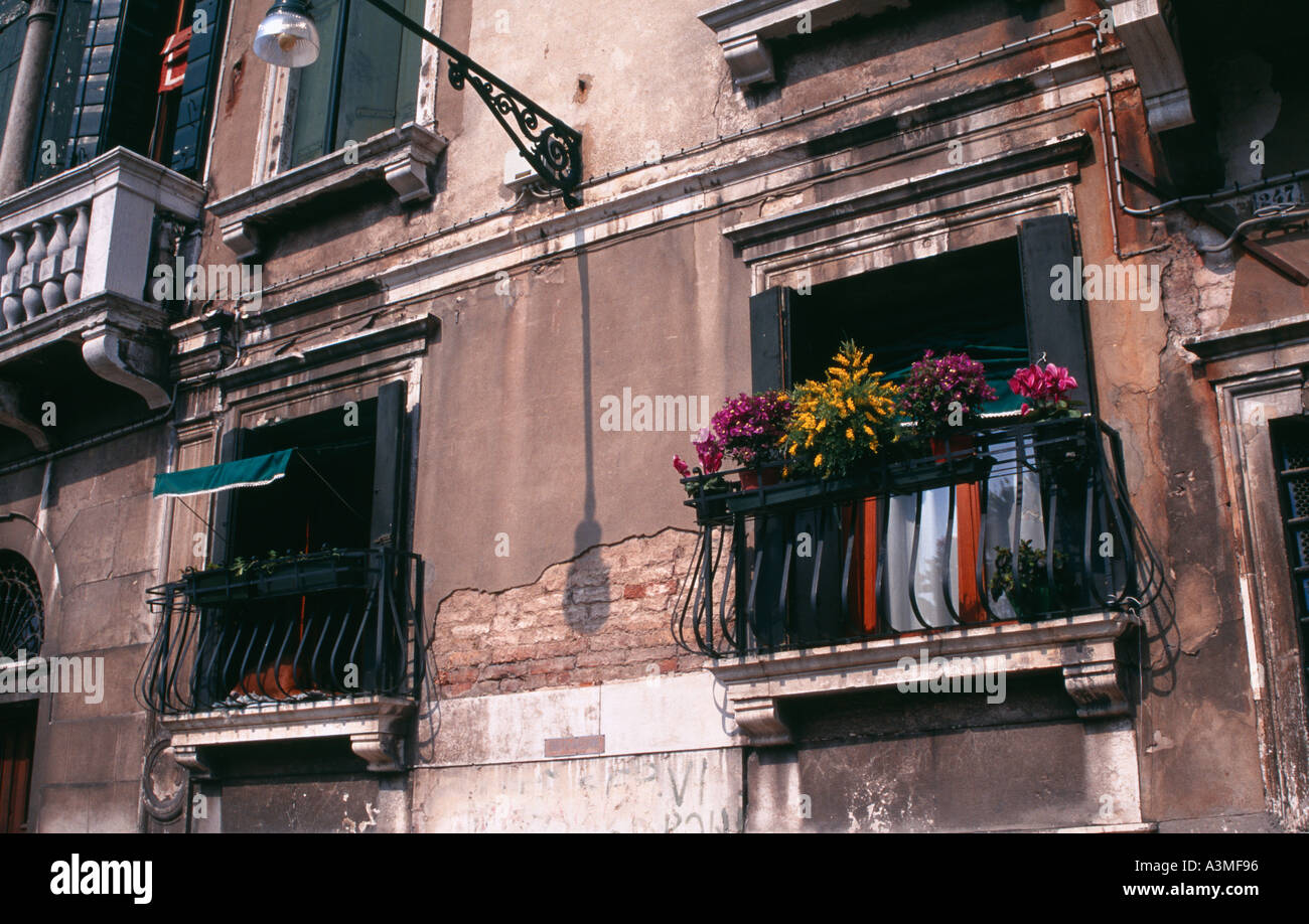Eine bunte Anzeige von Alpenveilchen und andere Pflanzen in Töpfen auf dem Balkon eines Fensters in Venedig Italien Stockfoto
