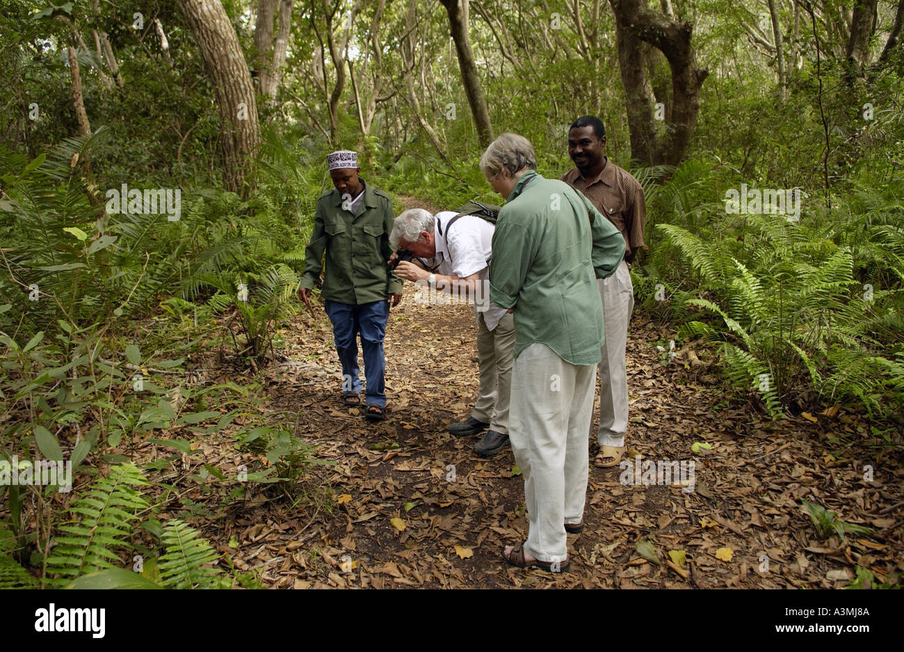 Touristen mit Videokamera im Jozani Forest Zanzibar Stockfoto