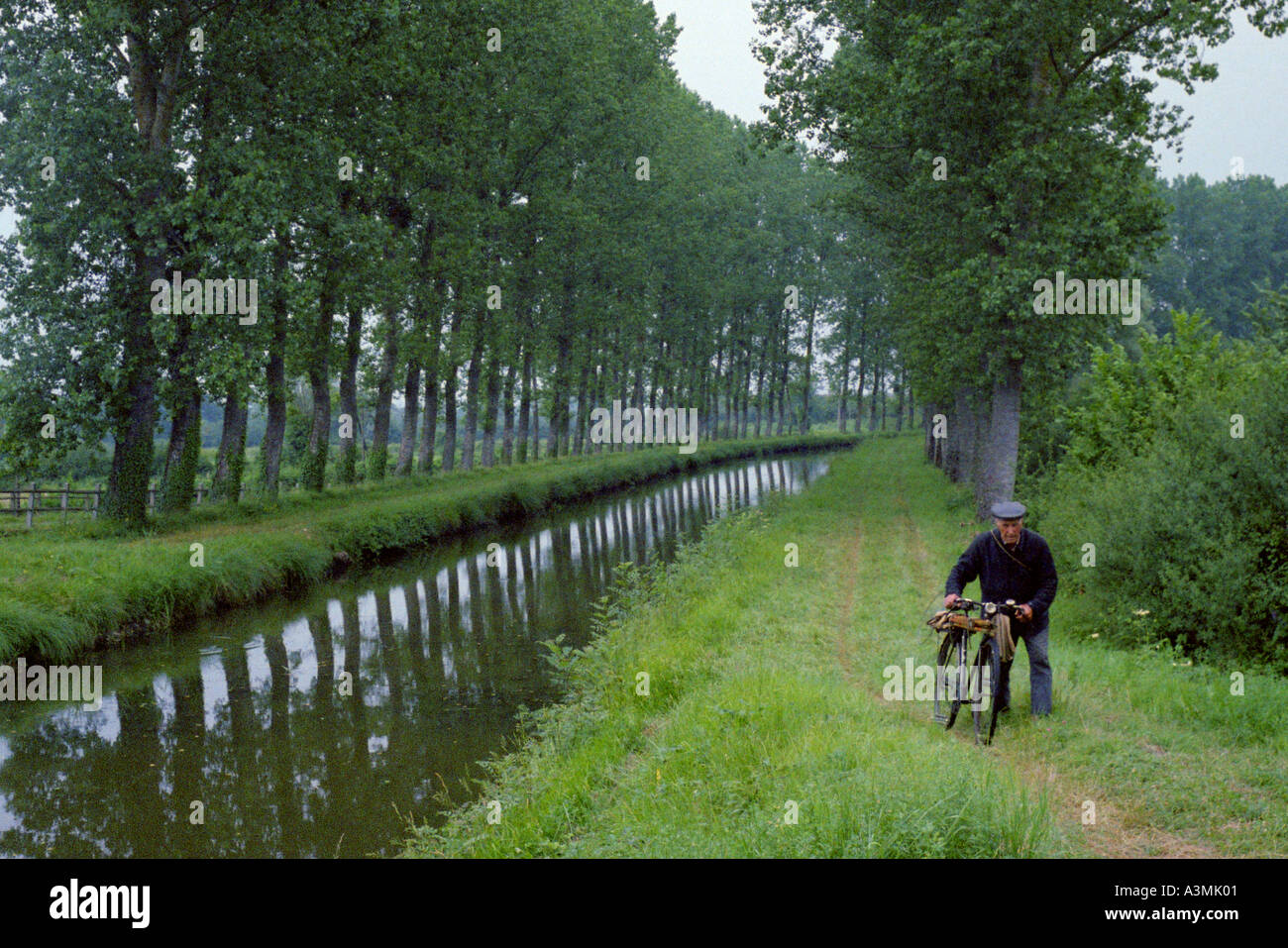 Mann sein Fahrrad Machenschaften, wie er Weg Schlepptau der Kanäle in Frankreich geht Stockfoto