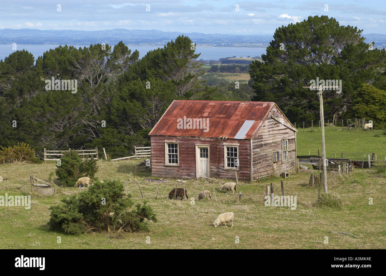 Traditionellen Hof mit Postfach Nordinsel Neuseeland Stockfoto