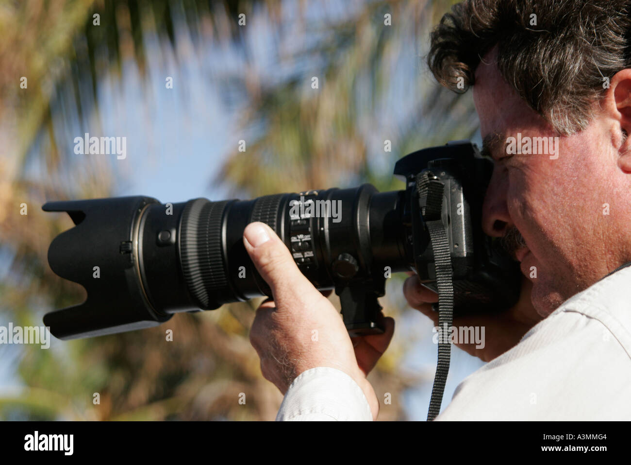 Miami Beach, Florida, South Beach, Ocean Drive, Art déco-Wochenende, Veranstaltung, Festival, Festivals, Architekturfeier, Messe, hispanische lateinamerikanische und lateinamerikanische Ethnie Stockfoto