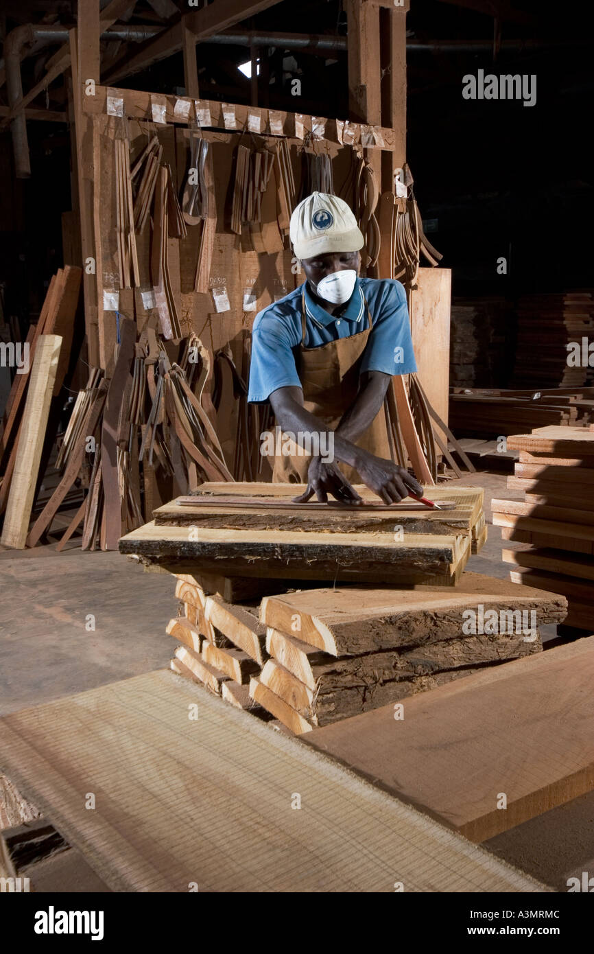 Betreiber, die mithilfe einer Vorlage zeichnen Form auf Teak Holz bei der Herstellung der Möbel, Ghana, Westafrika Stockfoto