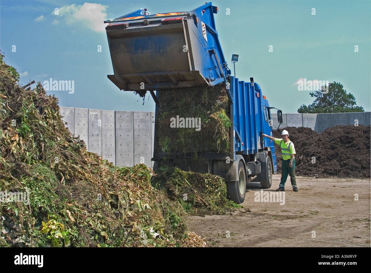 Lose Anlieferung von Grünabfällen zu kommerziellen Kompostierungsanlage Stockfoto