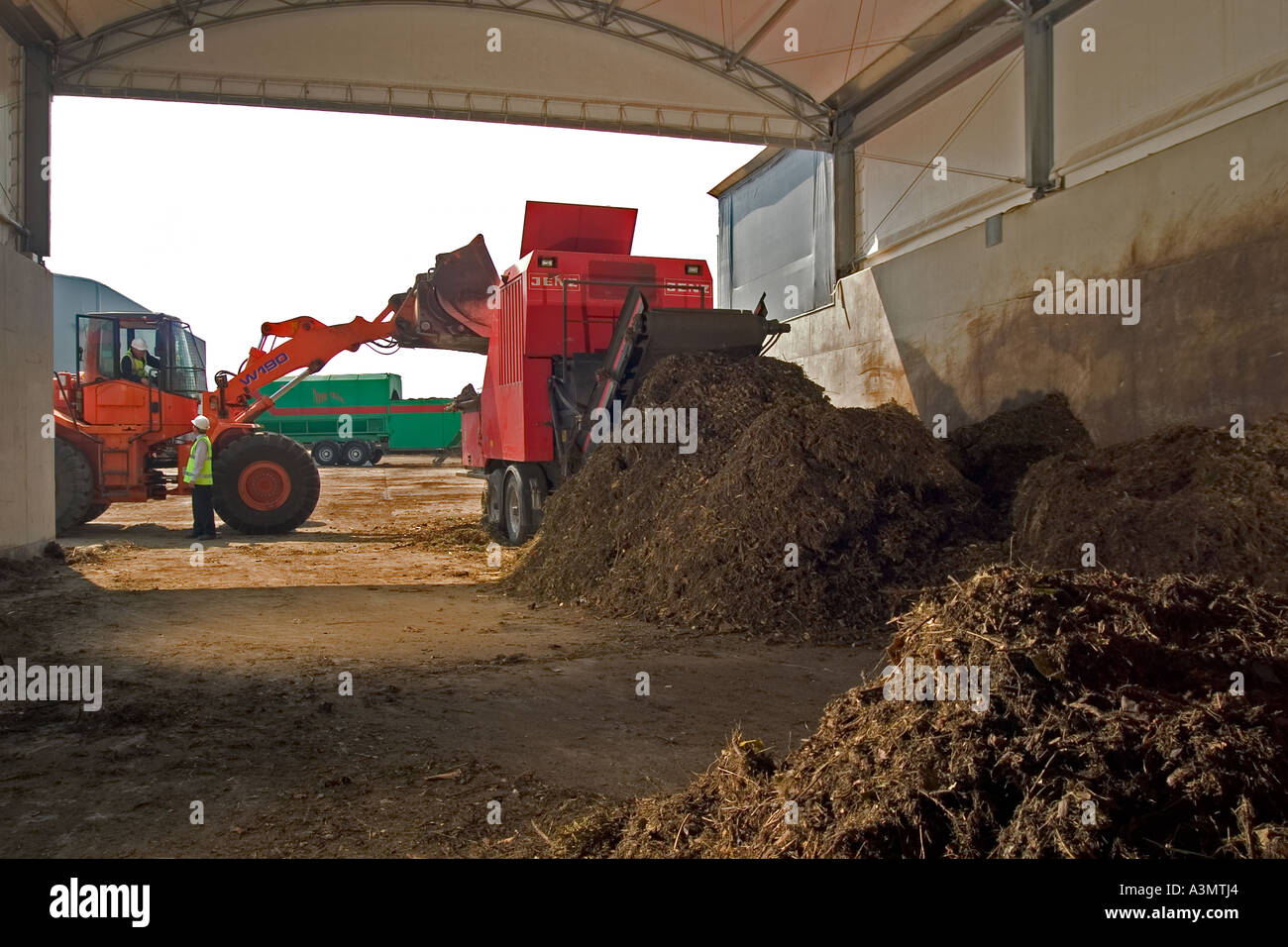 Schreddern von Grünschnitt vor der Kompostierung Verarbeitung beginnt Stockfoto