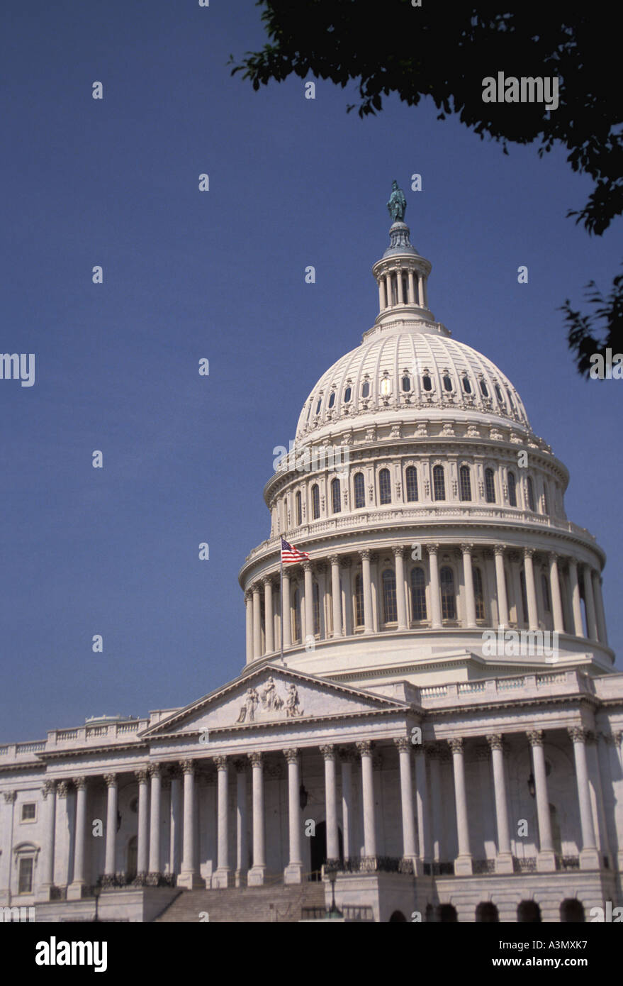 Washington DC US Capitol Building Stockfoto
