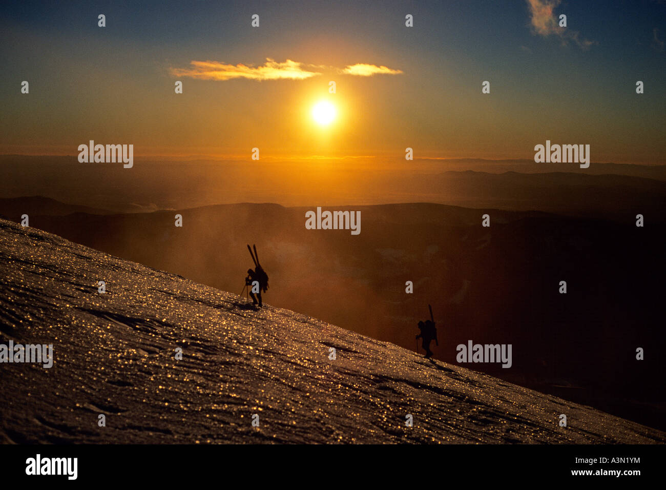 Zurück Land Skifahrer aufsteigend Mount Hood mit Winter Sunrise, Oregon Stockfoto