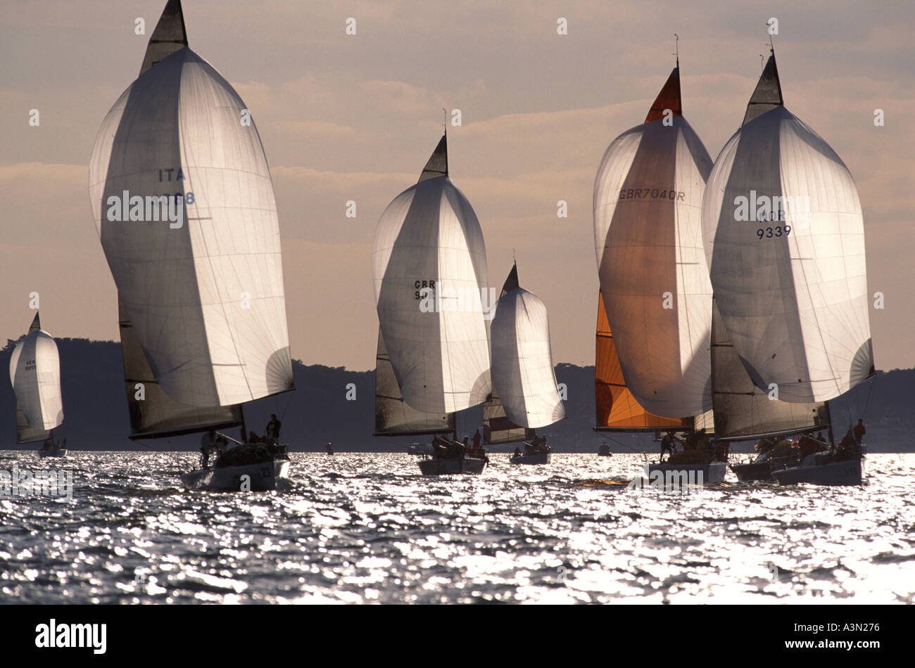 Flotte Spinnaker laufen bei Sonnenuntergang Farr 40 s im Solent Stockfoto