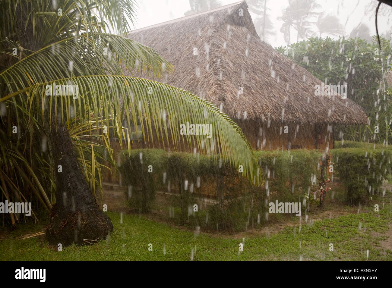 Regen Moorea Französisch-Polynesien Stockfoto