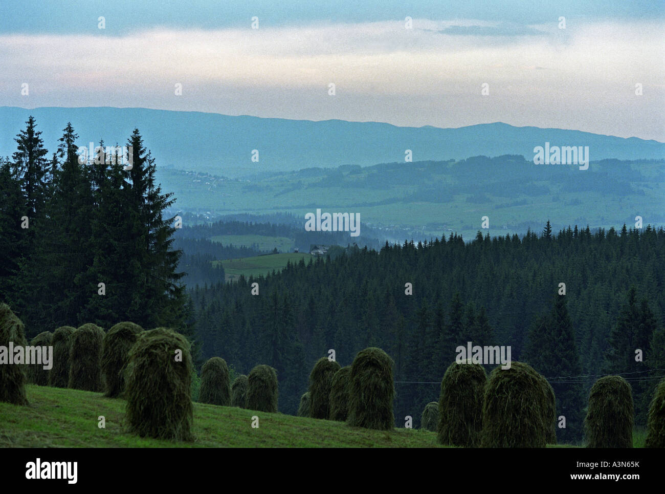 Landschaft der Tatra, Bukowina Tatrzanska, Polen Stockfoto