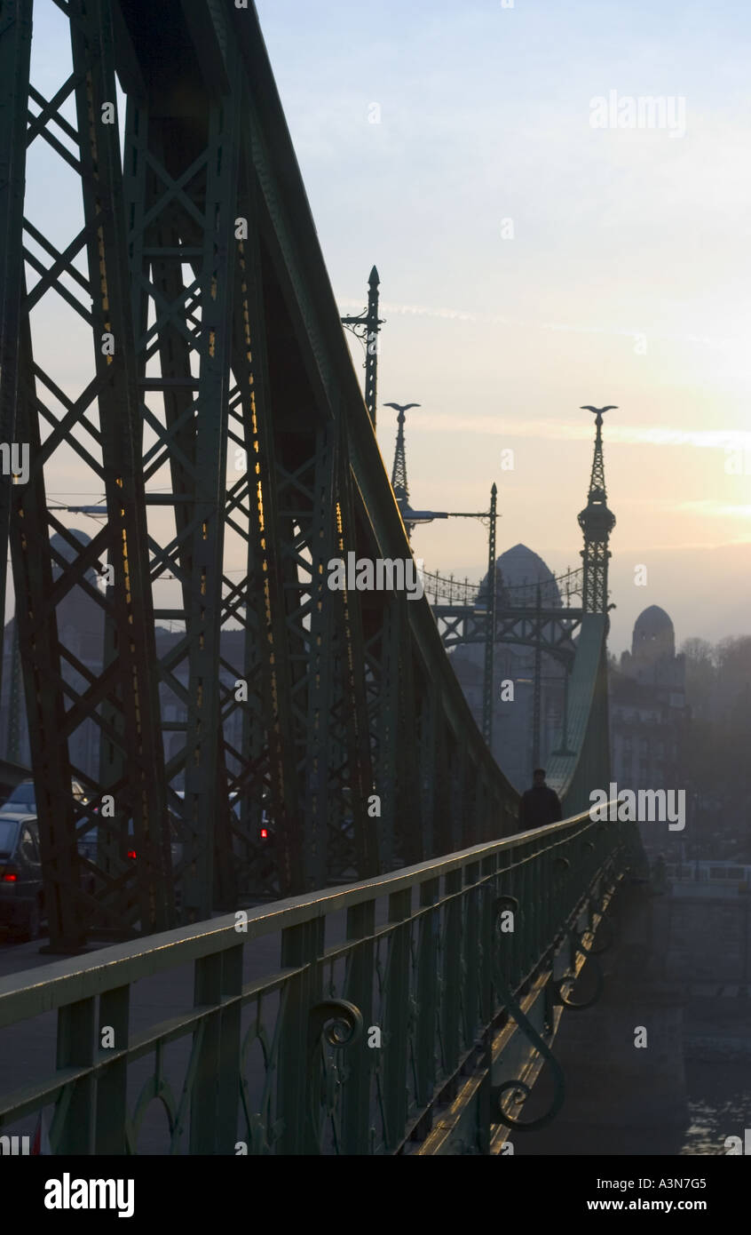 Die Brücke der Freiheit in Budapest Ungarn Stockfoto