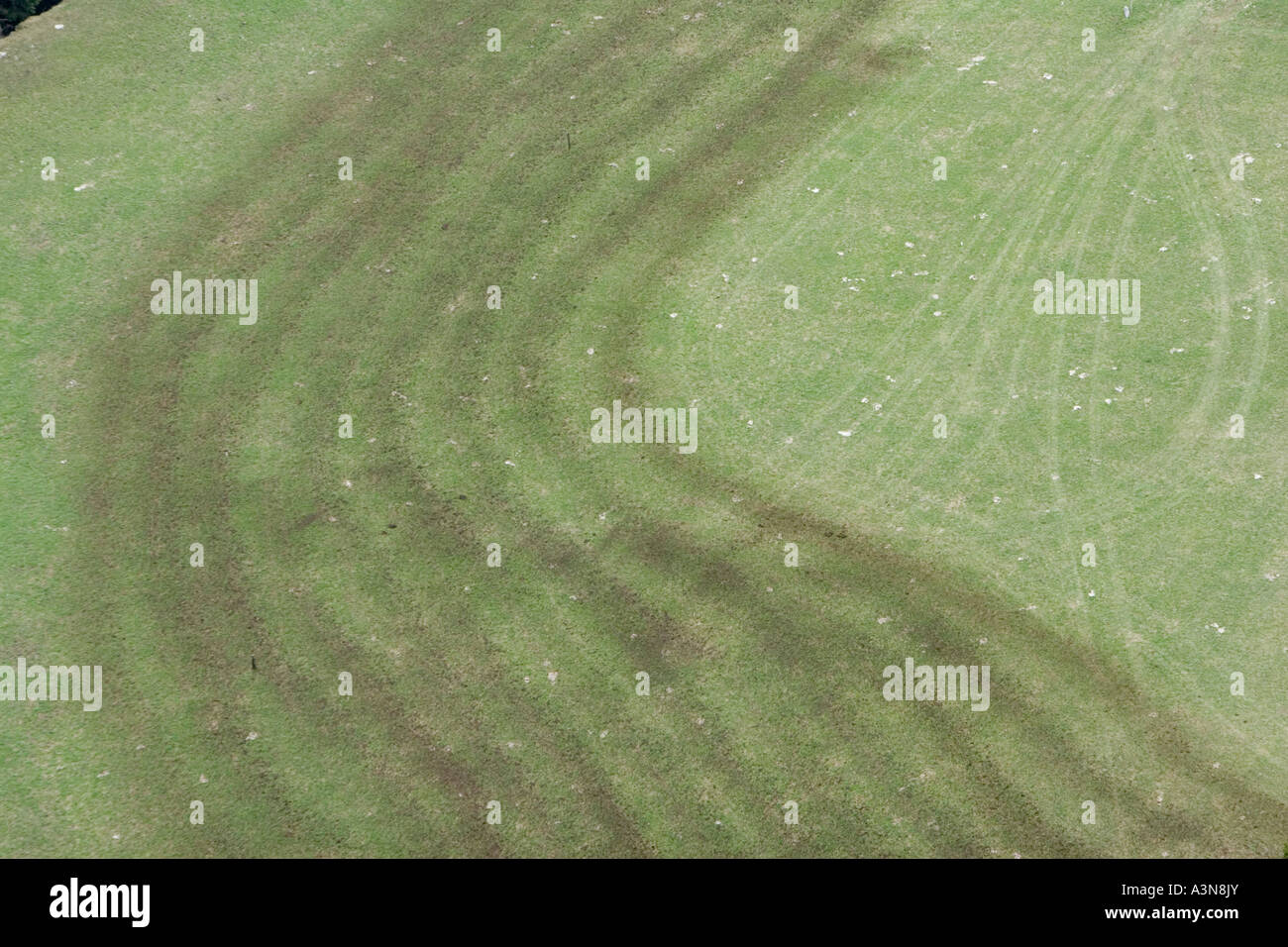 Düngung einer Bergwiese mit Gülle, Südtirol, Italien Stockfoto