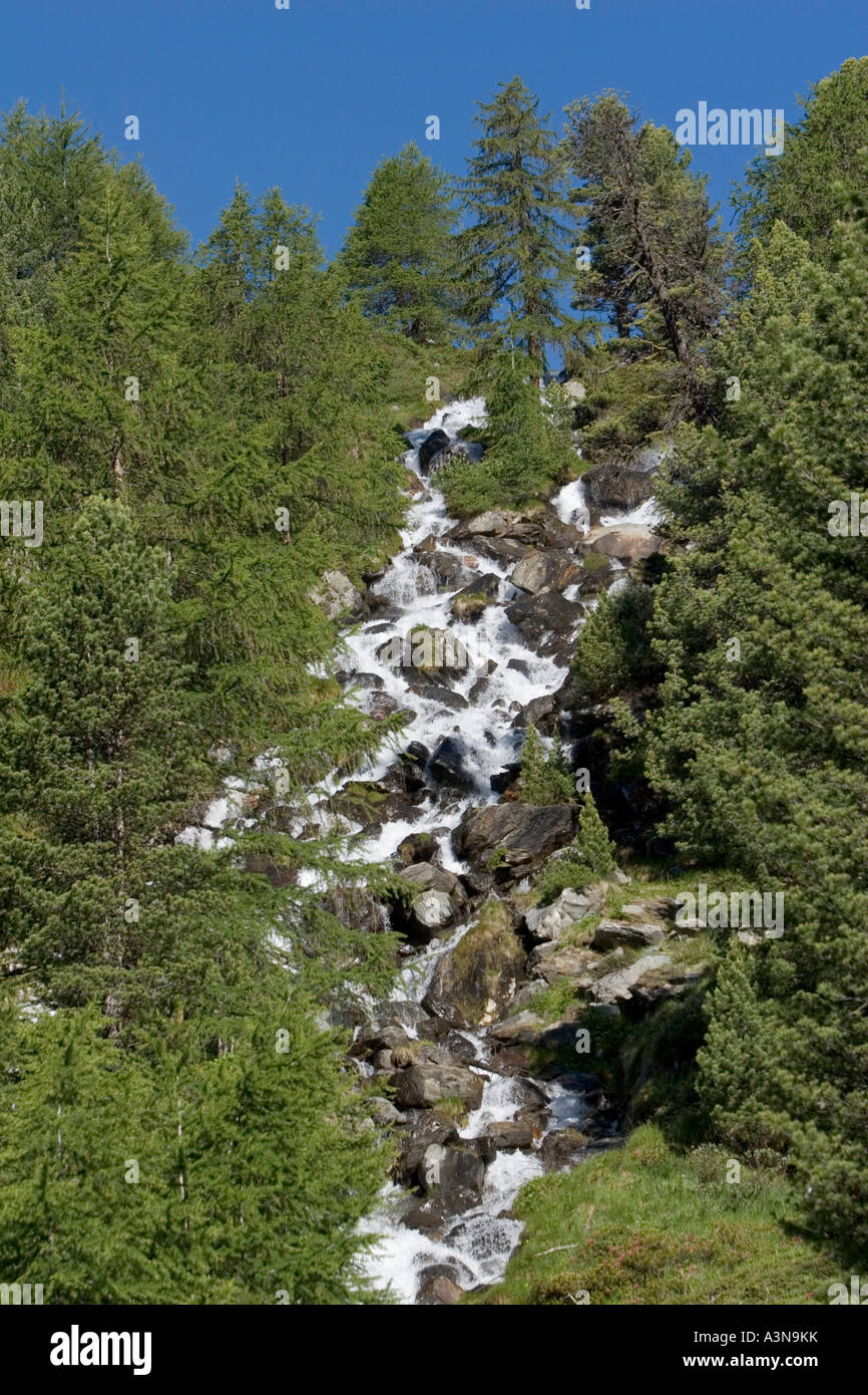 Gebirgsbach und Wasser fallen, Südtirol, Italien Stockfoto