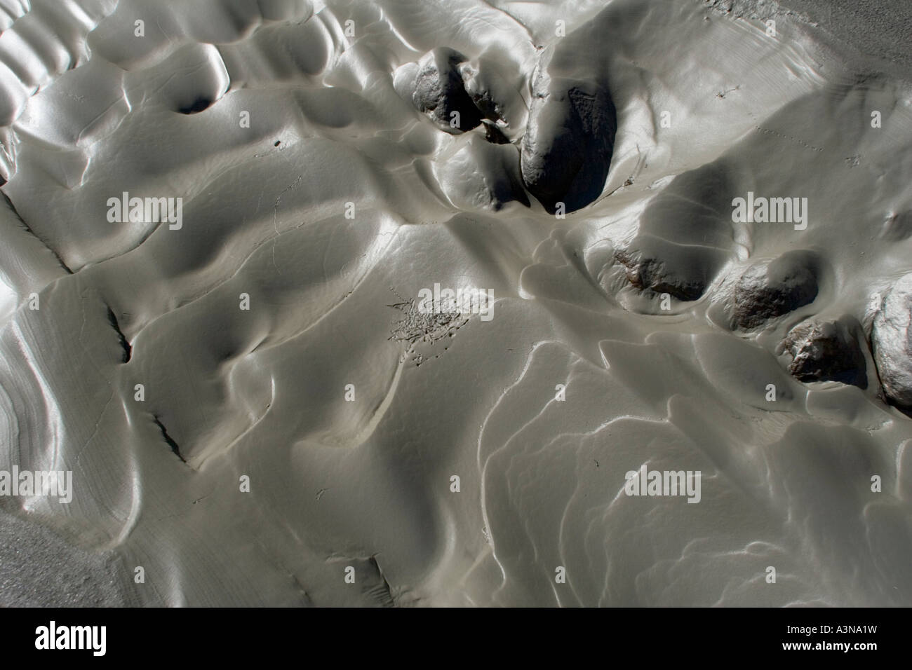 Frosch im schlammigen Wasser des glazialen Bergfluss Stockfoto
