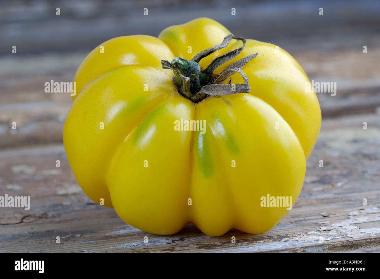 Tomate "Gelb gewellt" Stockfoto