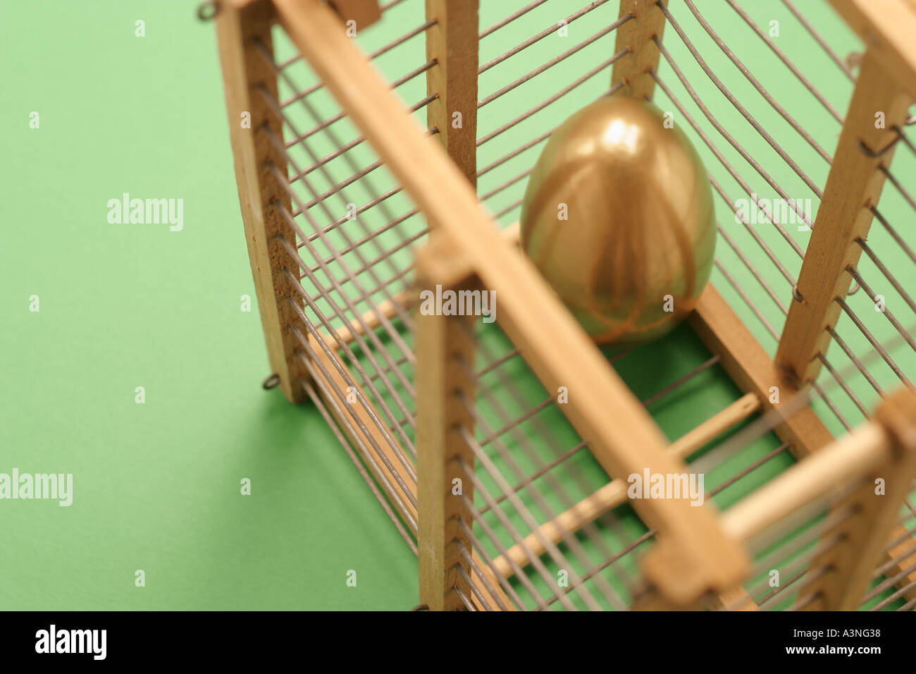 Goldenes Ei im Käfig Stockfoto