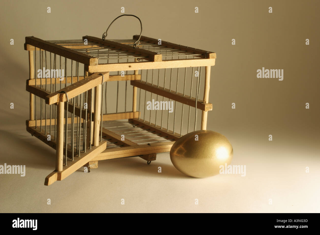Goldenes Ei und Käfig Stockfoto