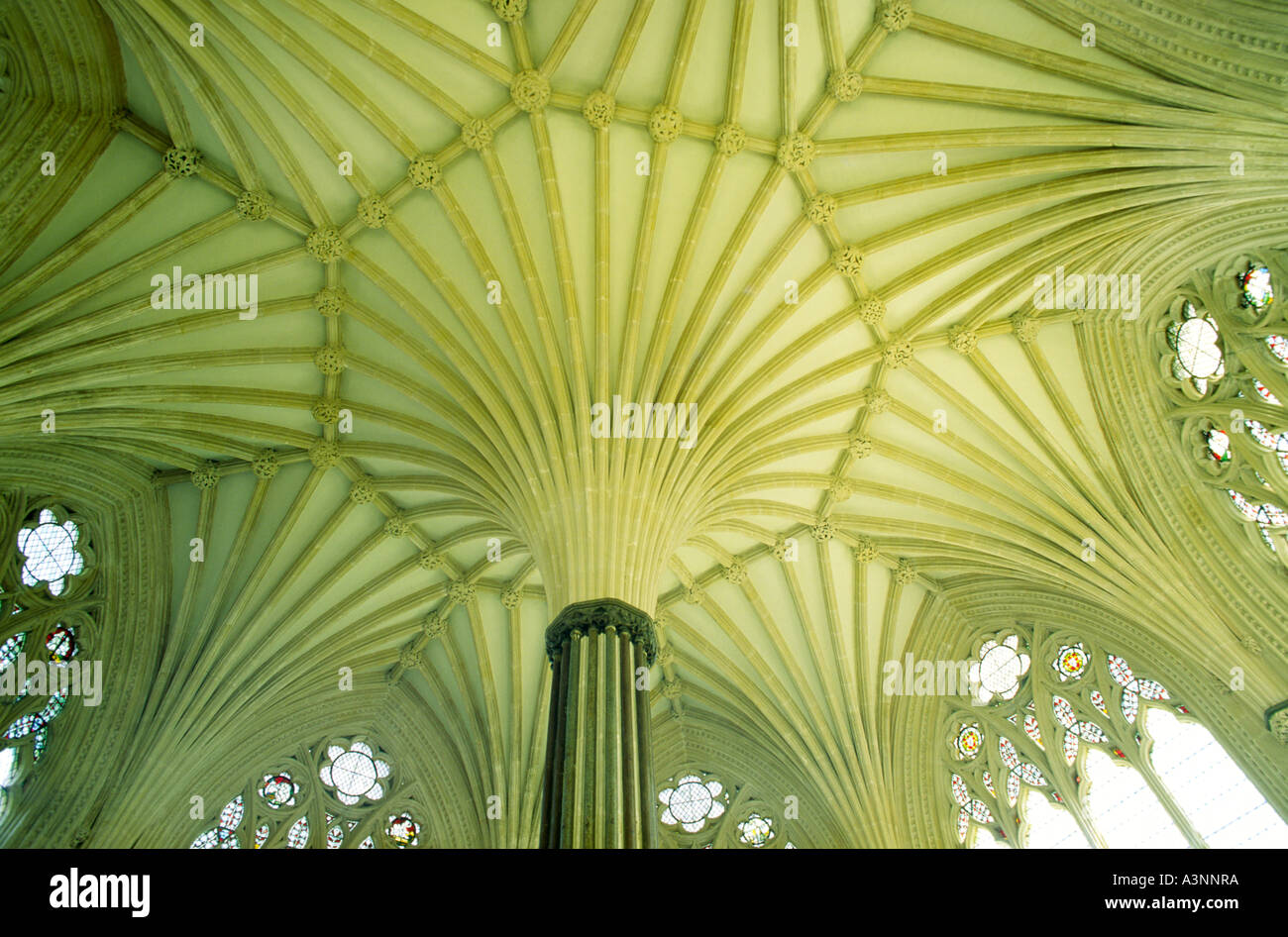 Stein-Fan Gewölbe und Fenster von der Decke der Kapitelsaal der Kathedrale von Wells, Somerset, England. Stockfoto