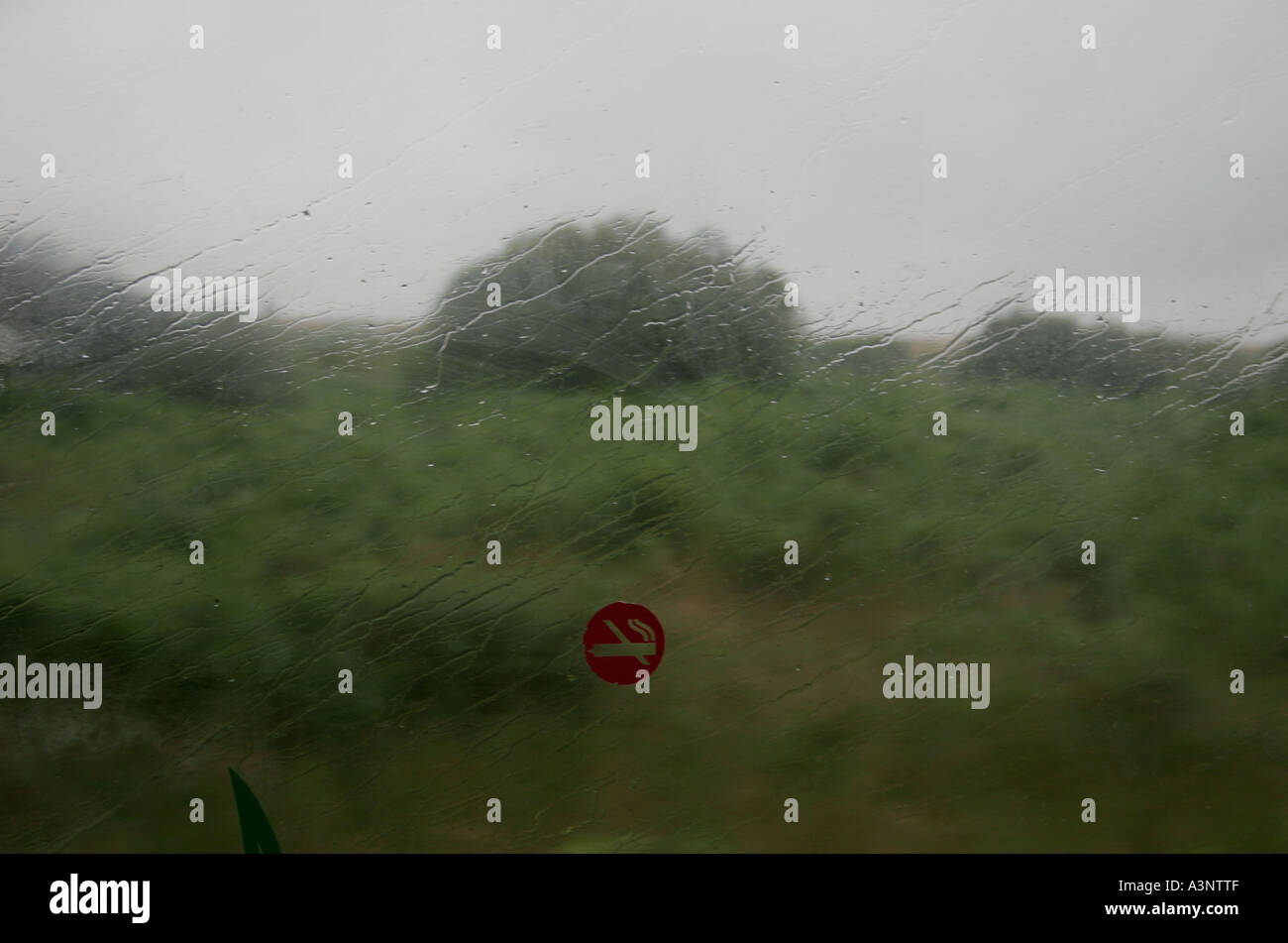 BLICK AUS DURCH EINE BUSFENSTER AN EINEM REGNERISCHEN TAG, ÜPPIGEN SOMMER LANDSCHAFT AUßERHALB. Stockfoto