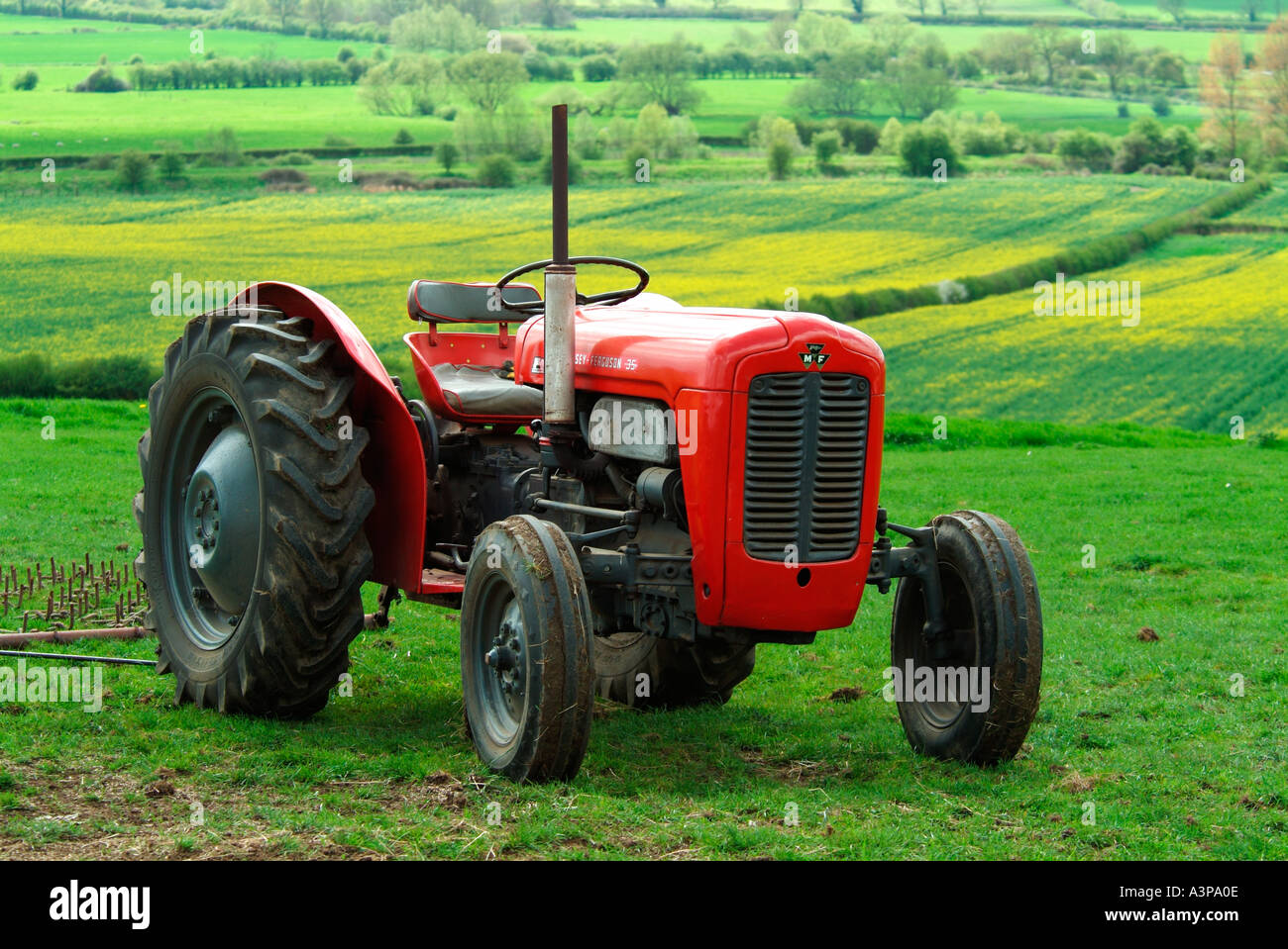 1959 rot Massey Ferguson FE35 Traktor verwendet heute für das Ziehen von Eggen und ein Rasen-Topper in einem paddock Stockfoto