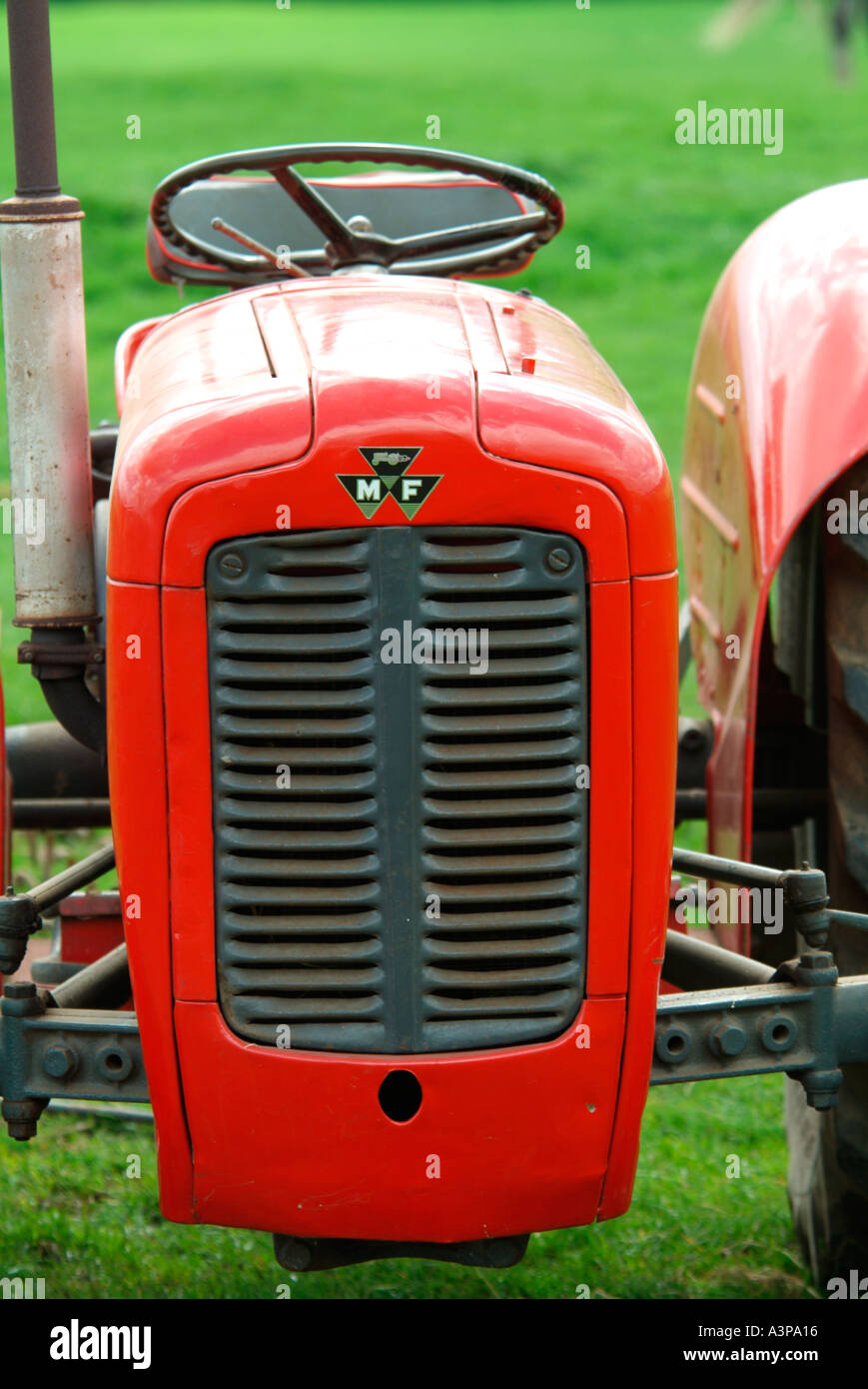 1959 rot Massey Ferguson FE35 Traktor verwendet heute für das Ziehen von Eggen und ein Rasen-Topper in einem paddock Stockfoto