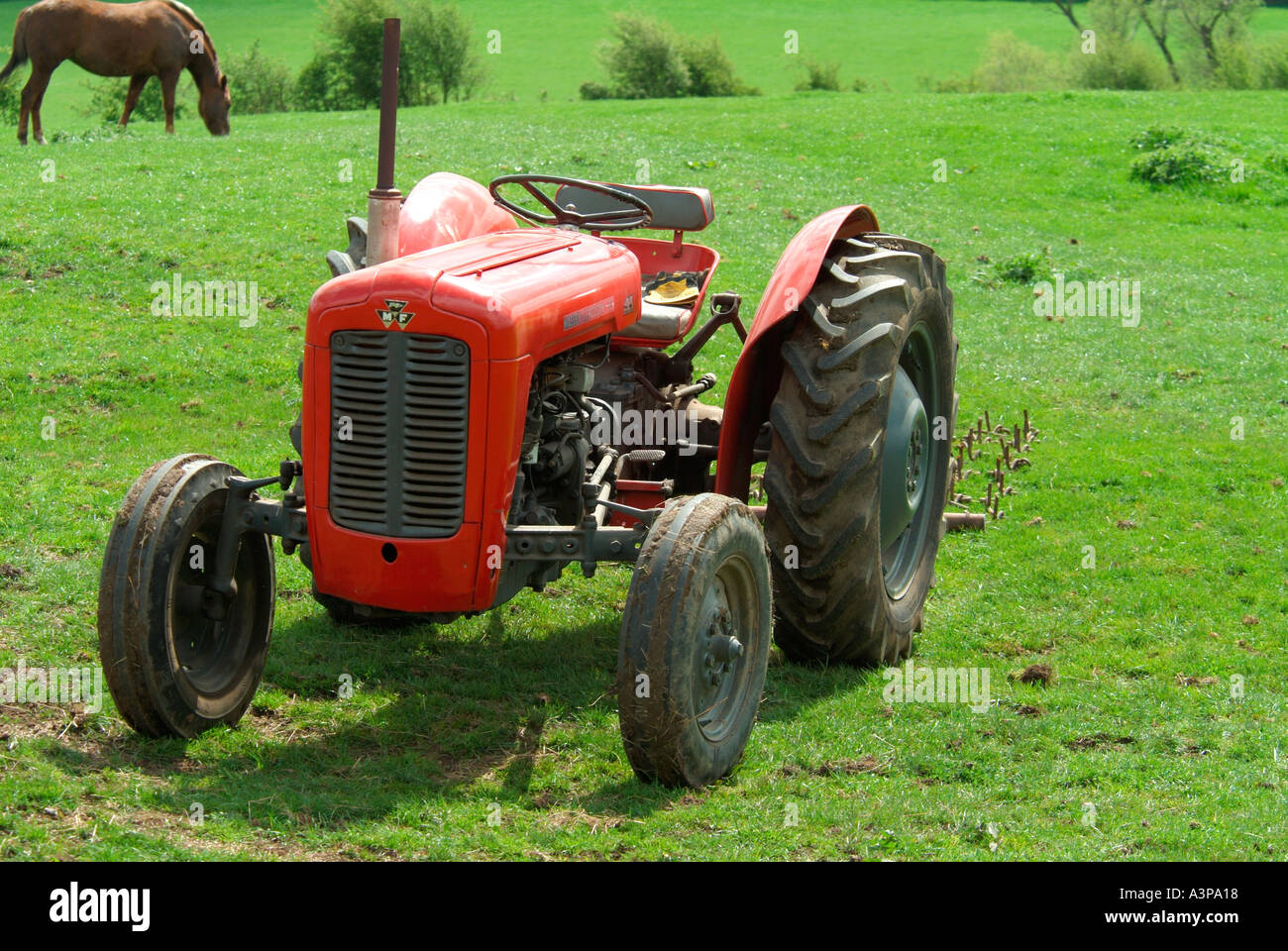 1959 rot Massey Ferguson FE35 Traktor verwendet heute für das Ziehen von Eggen und ein Rasen-Topper in einem paddock Stockfoto